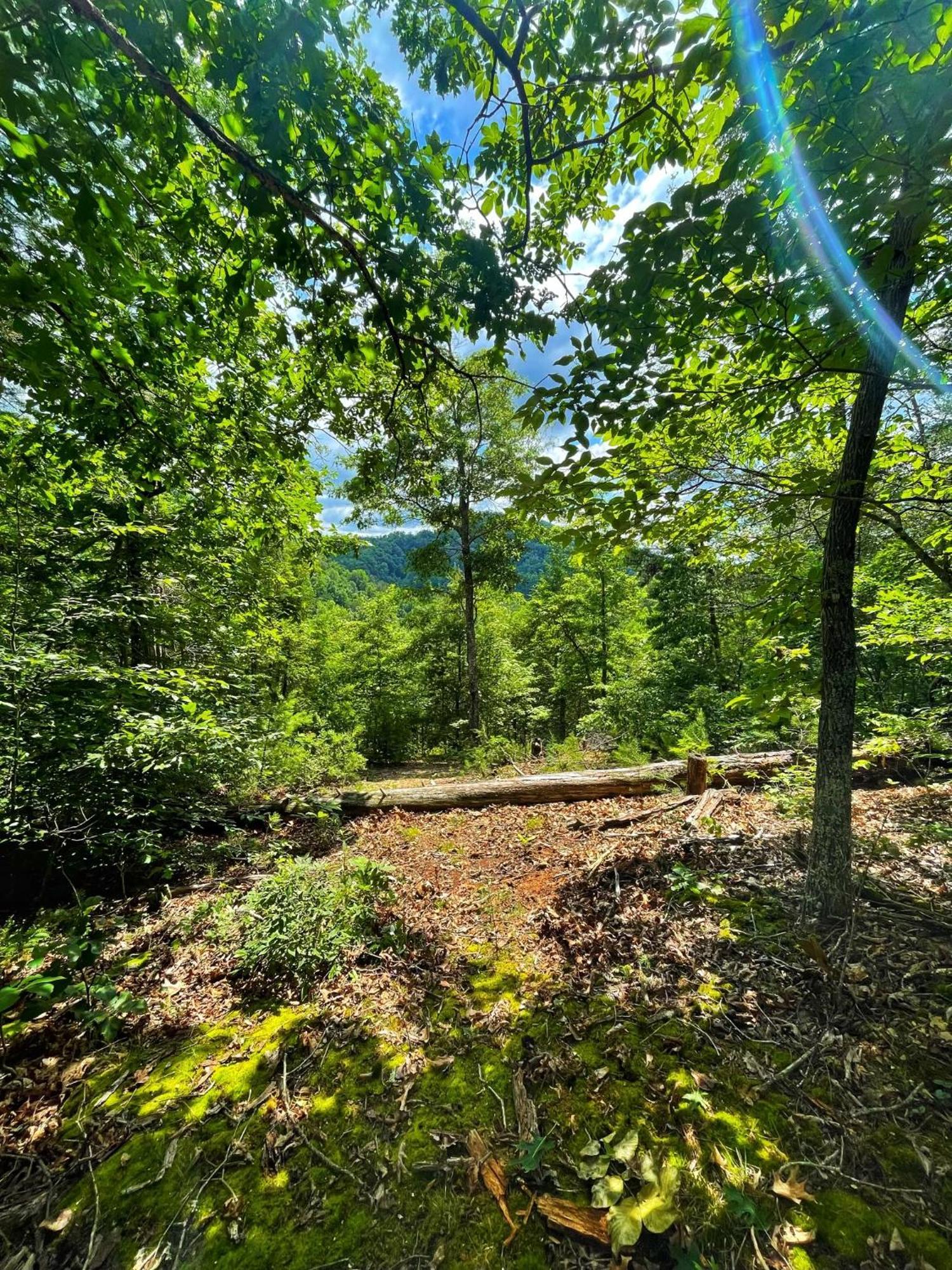 Tiny House, Wifi,Hot Tub,Secluded Villa Cosby Buitenkant foto