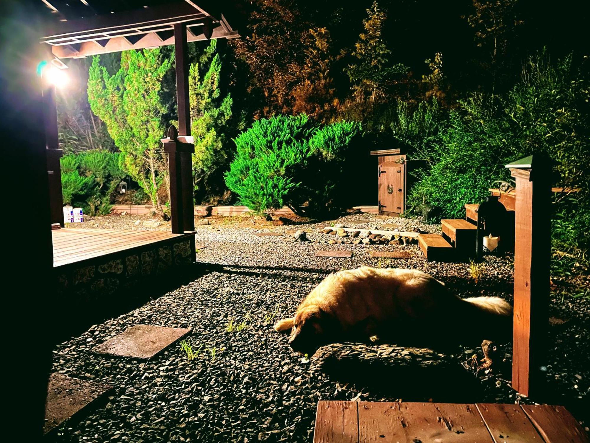 Tiny House, Wifi,Hot Tub,Secluded Villa Cosby Buitenkant foto