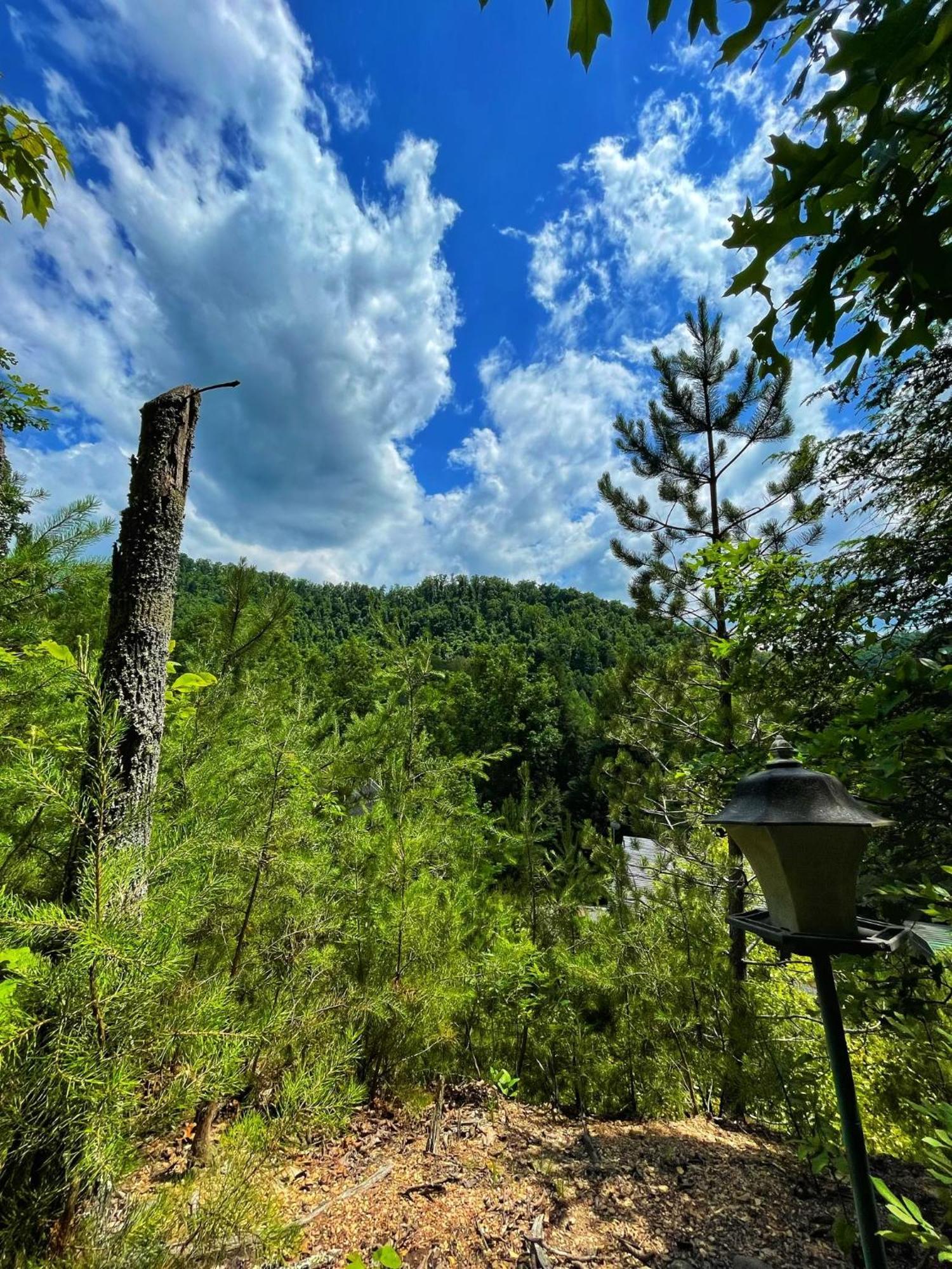 Tiny House, Wifi,Hot Tub,Secluded Villa Cosby Buitenkant foto